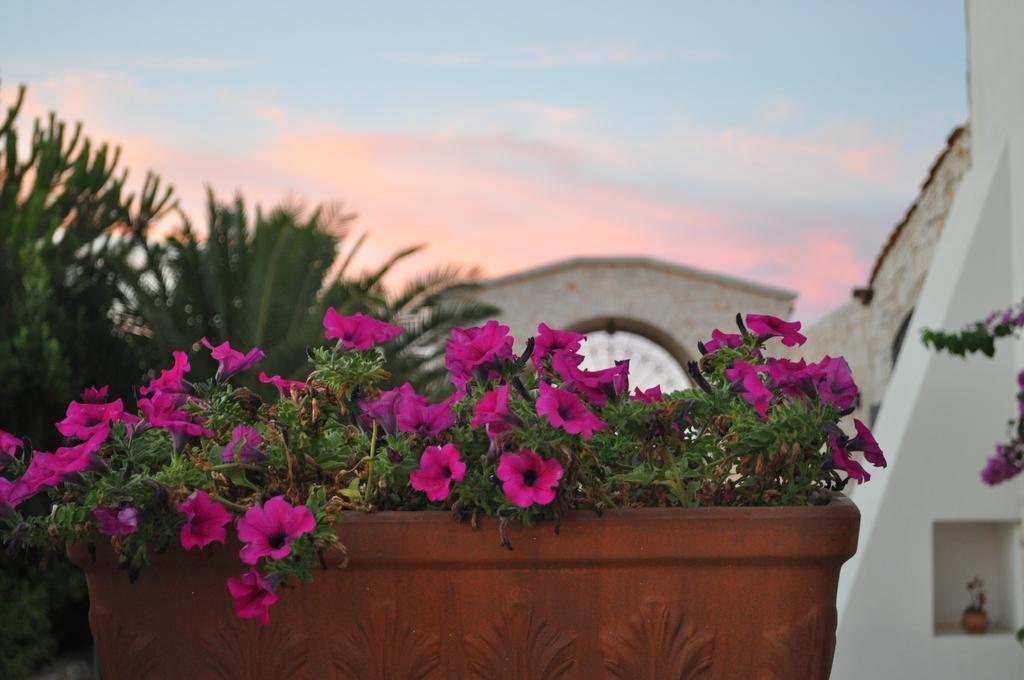 Masseria Del Crocifisso Polignano a Mare Exterior foto